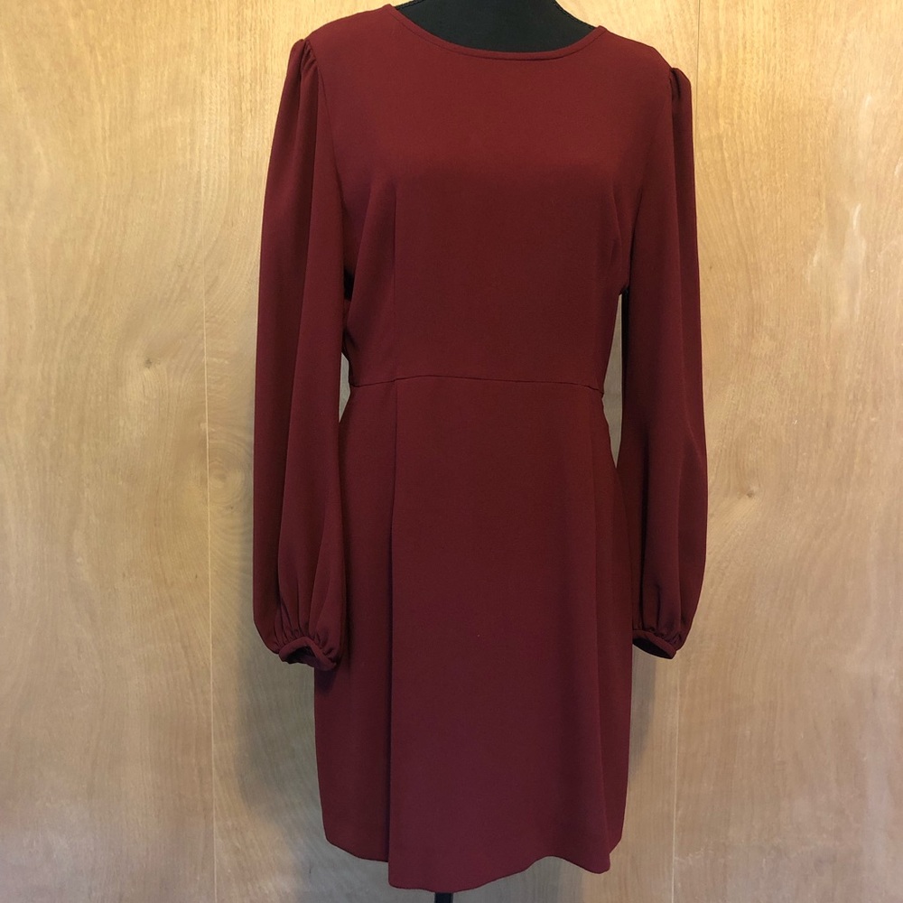 Zara long sleeve dress, size L